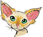 Devon Rex 2